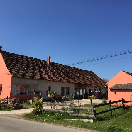 Gite Chez Marcel Et Bea La Chapelle-Saint-Sauveur  Eksteriør bilde